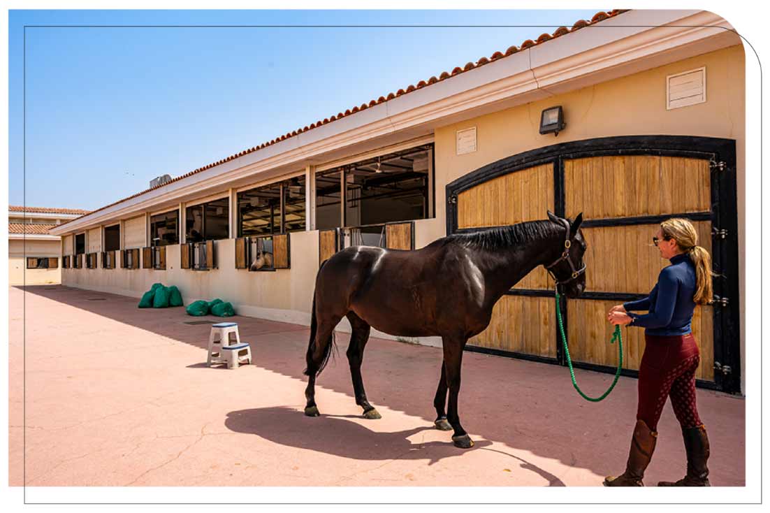 Al Habtoor Polo Resort & Club