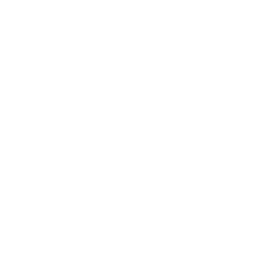 Download icon